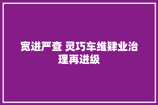 宽进严查 灵巧车维肄业治理再进级