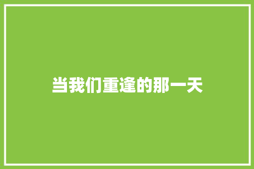 当我们重逢的那一天