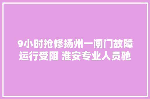 9小时抢修扬州一闸门故障运行受阻 淮安专业人员驰援