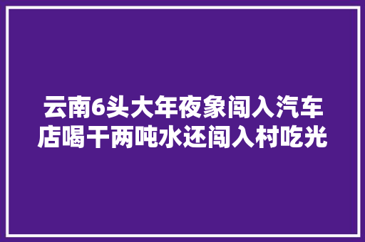 云南6头大年夜象闯入汽车店喝干两吨水还闯入村吃光玉米撞坏院门