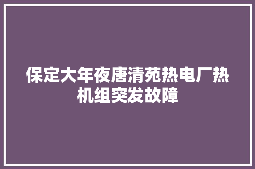 保定大年夜唐清苑热电厂热机组突发故障