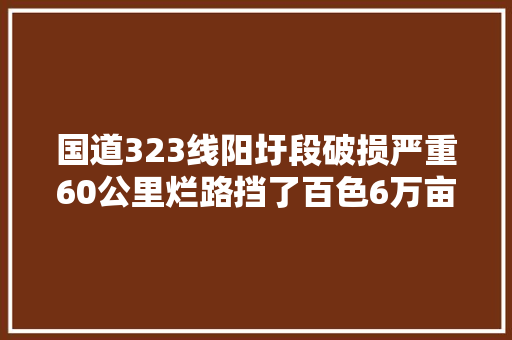 国道323线阳圩段破损严重60公里烂路挡了百色6万亩芒果销路