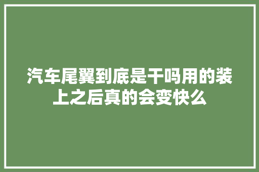 汽车尾翼到底是干吗用的装上之后真的会变快么