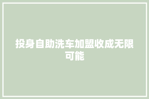 投身自助洗车加盟收成无限可能