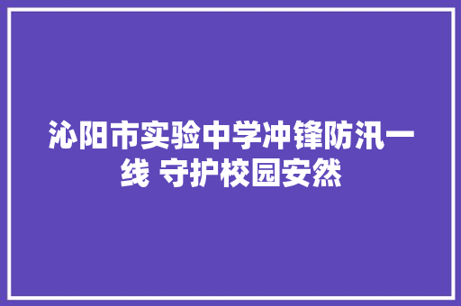 沁阳市实验中学冲锋防汛一线 守护校园安然