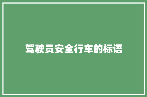 驾驶员安全行车的标语