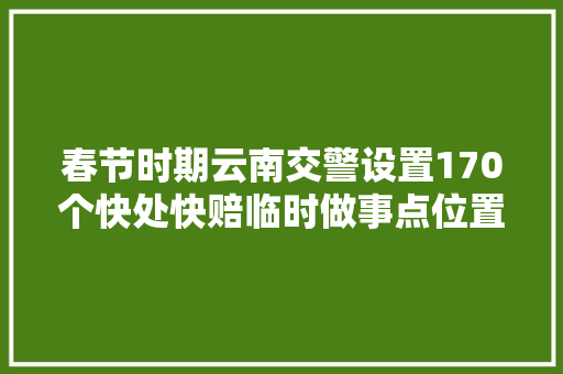 春节时期云南交警设置170个快处快赔临时做事点位置在这里