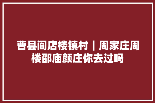 曹县阎店楼镇村｜周家庄周楼邵庙颜庄你去过吗