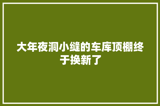 大年夜洞小缝的车库顶棚终于换新了