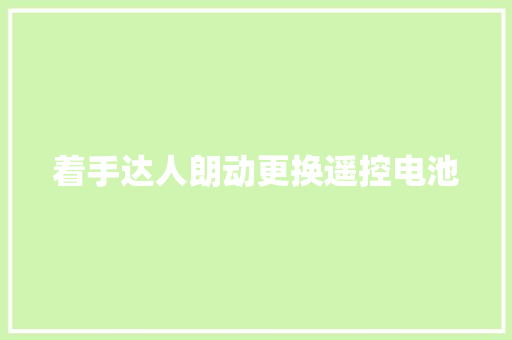 着手达人朗动更换遥控电池