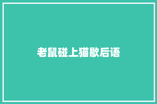 老鼠碰上猫歇后语