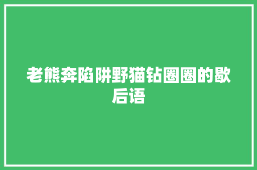 老熊奔陷阱野猫钻圈圈的歇后语