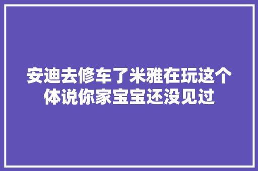 安迪去修车了米雅在玩这个体说你家宝宝还没见过