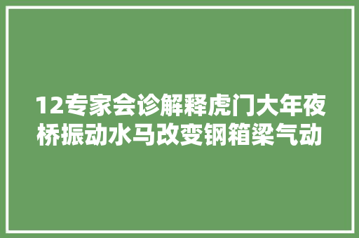 12专家会诊解释虎门大年夜桥振动水马改变钢箱梁气动外形引起涡振