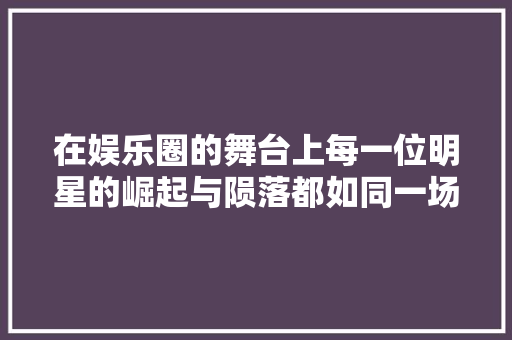 在娱乐圈的舞台上每一位明星的崛起与陨落都如同一场残酷的烟花