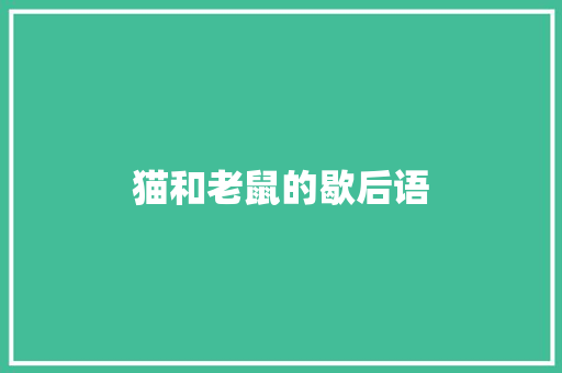 猫和老鼠的歇后语