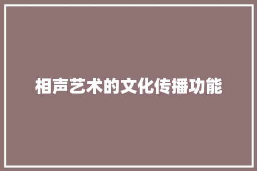 相声艺术的文化传播功能