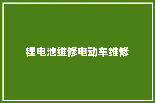 锂电池维修电动车维修