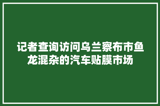 记者查询访问乌兰察布市鱼龙混杂的汽车贴膜市场
