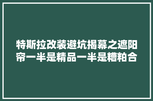特斯拉改装避坑揭幕之遮阳帘一半是精品一半是糟粕合