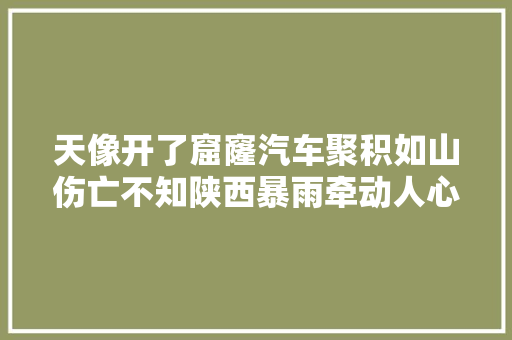 天像开了窟窿汽车聚积如山伤亡不知陕西暴雨牵动人心
