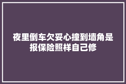 夜里倒车欠妥心撞到墙角是报保险照样自己修
