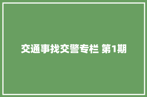 交通事找交警专栏 第1期