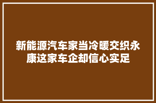 新能源汽车家当冷暖交织永康这家车企却信心实足