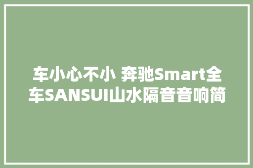 车小心不小 奔驰Smart全车SANSUI山水隔音音响简改廊坊车悦会