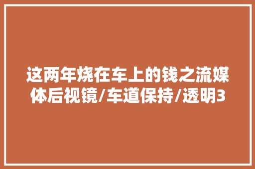这两年烧在车上的钱之流媒体后视镜/车道保持/透明360/电吸门