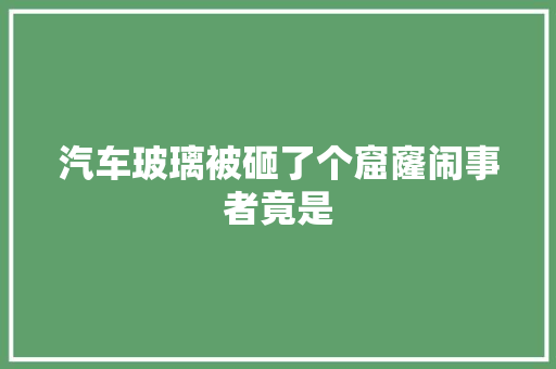 汽车玻璃被砸了个窟窿闹事者竟是
