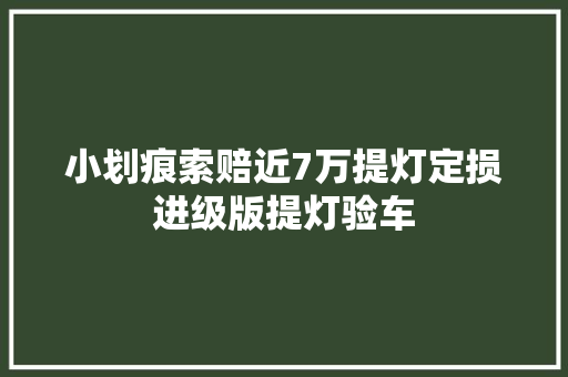 小划痕索赔近7万提灯定损进级版提灯验车