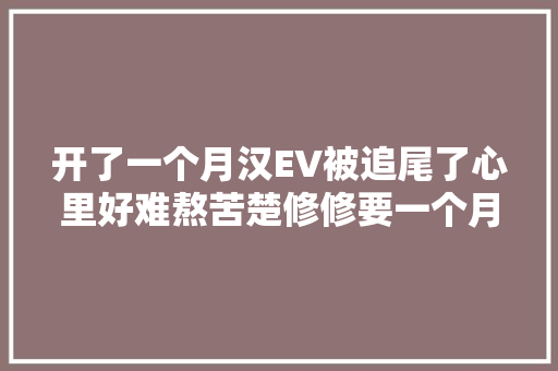 开了一个月汉EV被追尾了心里好难熬苦楚修修要一个月