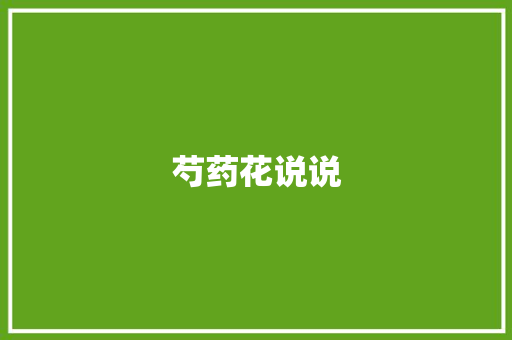 芍药花说说