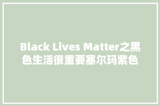 Black Lives Matter之黑色生活很重要塞尔玛紫色