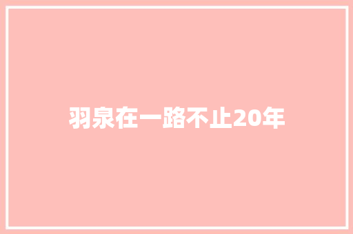 羽泉在一路不止20年