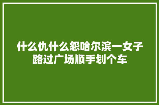 什么仇什么怨哈尔滨一女子路过广场顺手划个车