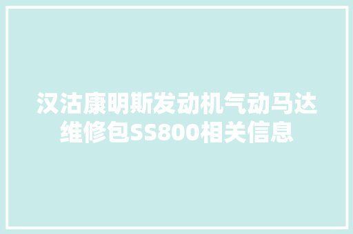 汉沽康明斯发动机气动马达维修包SS800相关信息
