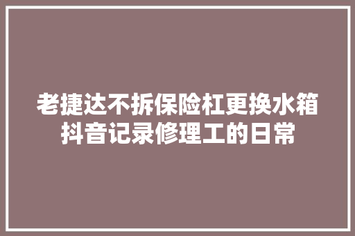 老捷达不拆保险杠更换水箱抖音记录修理工的日常