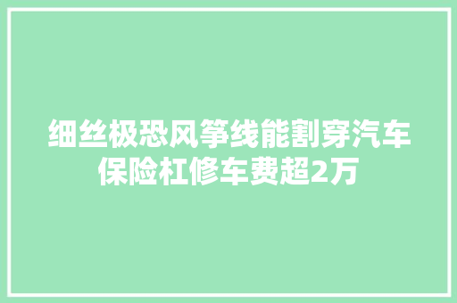 细丝极恐风筝线能割穿汽车保险杠修车费超2万