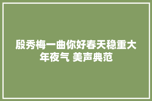 殷秀梅一曲你好春天稳重大年夜气 美声典范