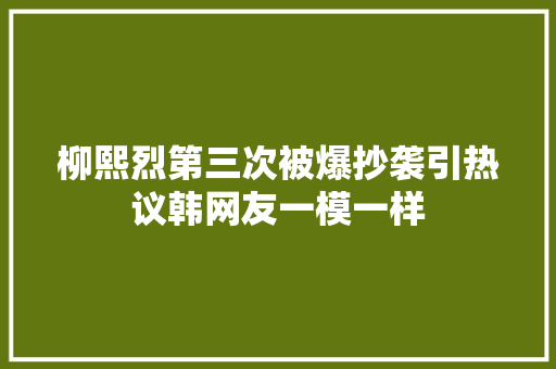 柳熙烈第三次被爆抄袭引热议韩网友一模一样