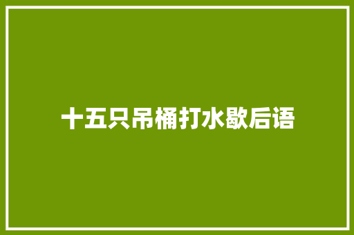 十五只吊桶打水歇后语