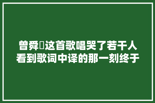 曾舜晞这首歌唱哭了若干人看到歌词中译的那一刻终于忍不住了