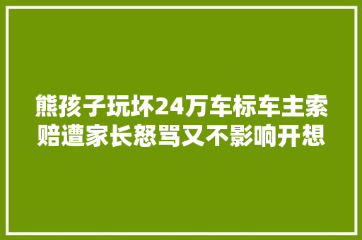 熊孩子玩坏24万车标车主索赔遭家长怒骂又不影响开想敲诈 汽车知识