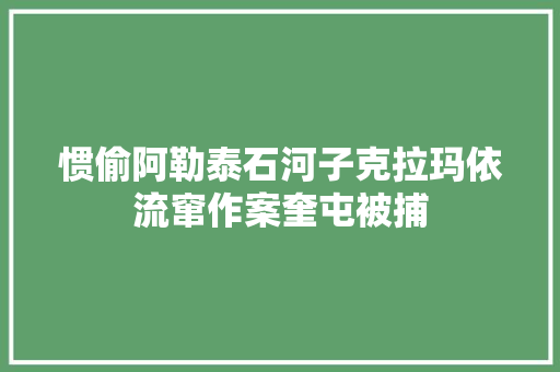 惯偷阿勒泰石河子克拉玛依流窜作案奎屯被捕
