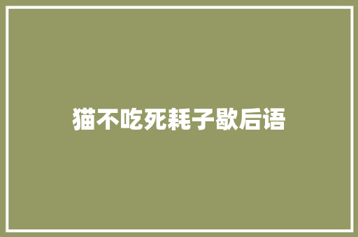 猫不吃死耗子歇后语