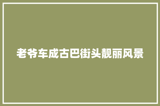 老爷车成古巴街头靓丽风景