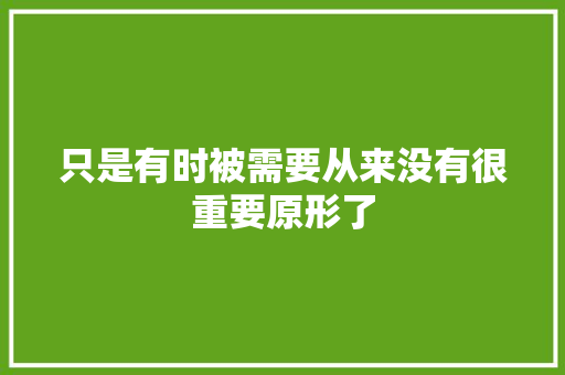 只是有时被需要从来没有很重要原形了