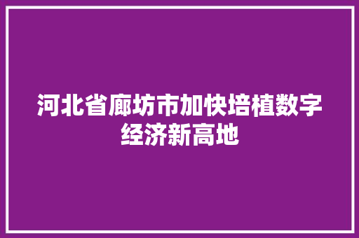 河北省廊坊市加快培植数字经济新高地